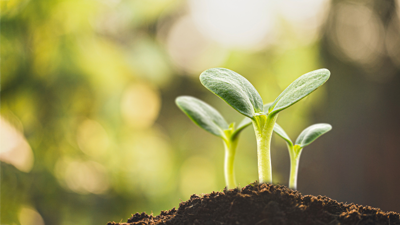 No contexto do agronegócio moderno, João Eustáquio De Almeida Junior aborda o papel do carbono no solo e das transformações no uso da terra para gerar valor e confiança.